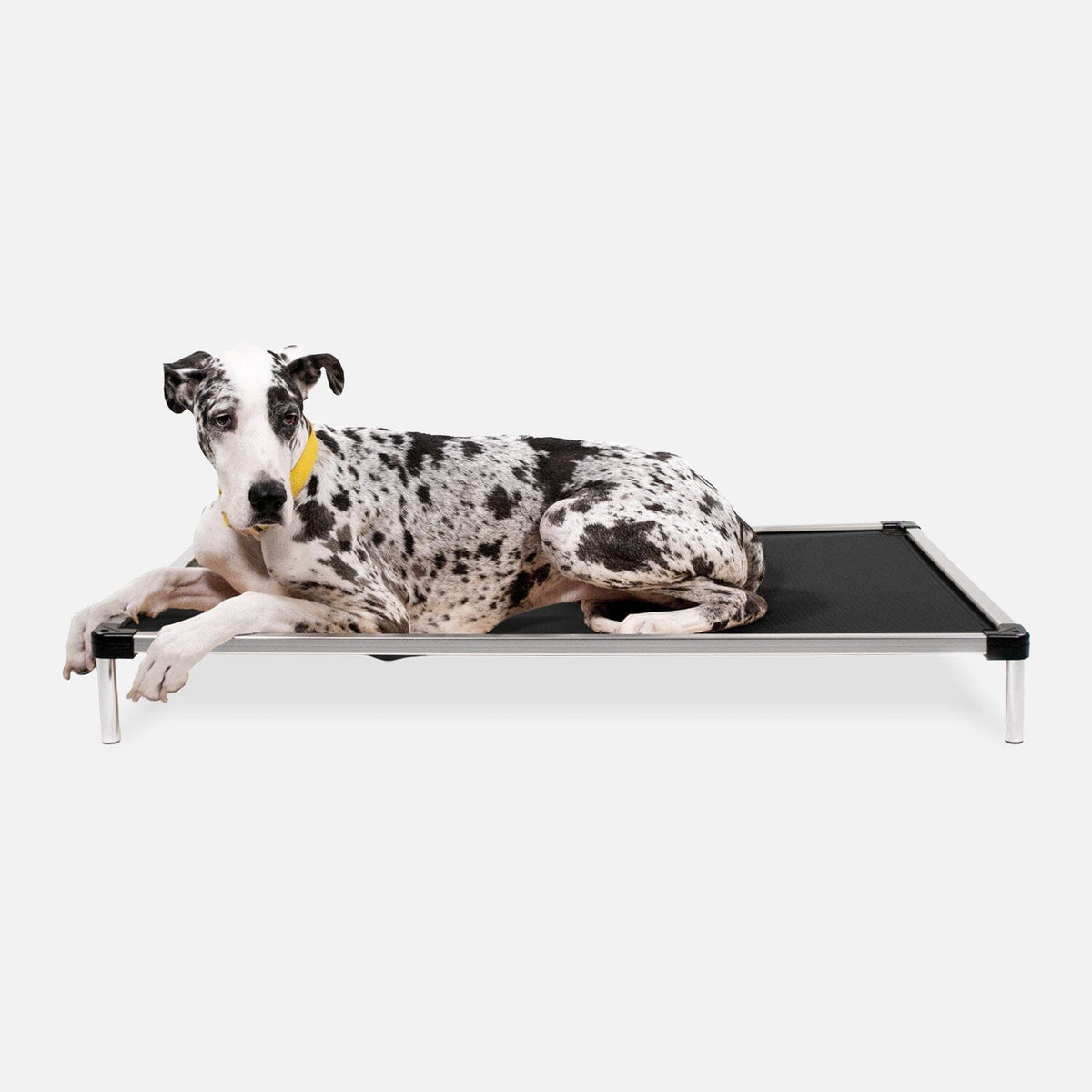 Elevated Dog Bed | Aluminum Frame, Ripstop Ballistic Fabric 4