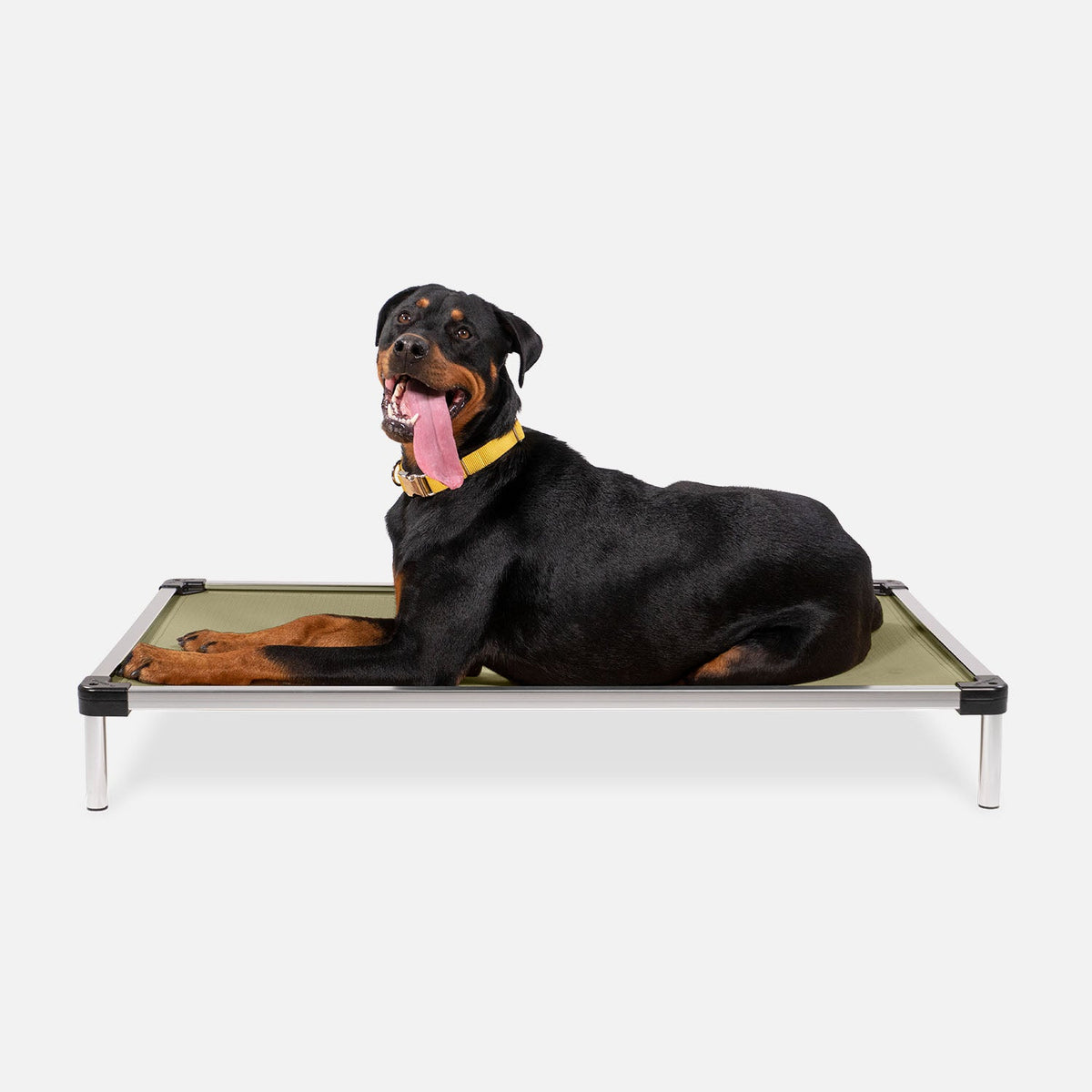 Elevated Dog Bed | Aluminum Frame, Ripstop Ballistic Fabric 7
