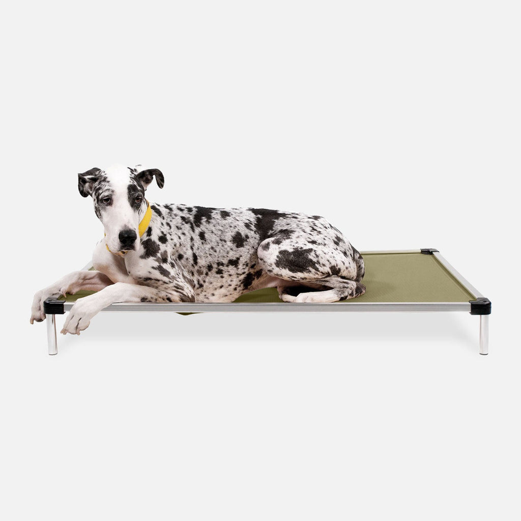 Elevated Dog Bed | Aluminum Frame, Ripstop Ballistic Fabric 8