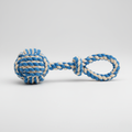Braided Rope Tug Dog Toy