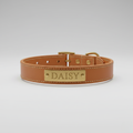 Personalized Leather Dog Collar