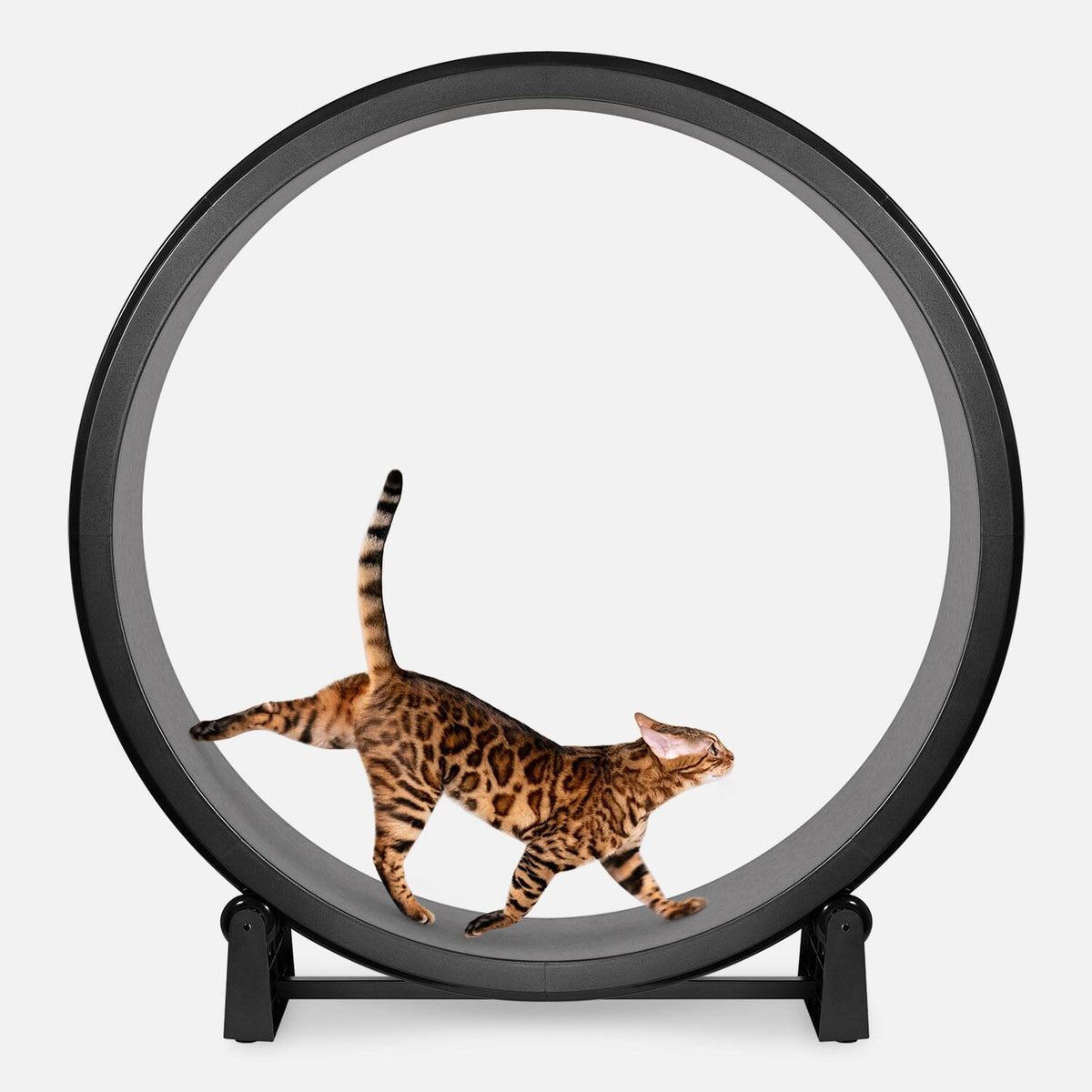 Large Cat Exercise Wheel - Durable Feline Workout Wheel for Active Cats, 48-Inch Smooth Running Cat Wheel 1