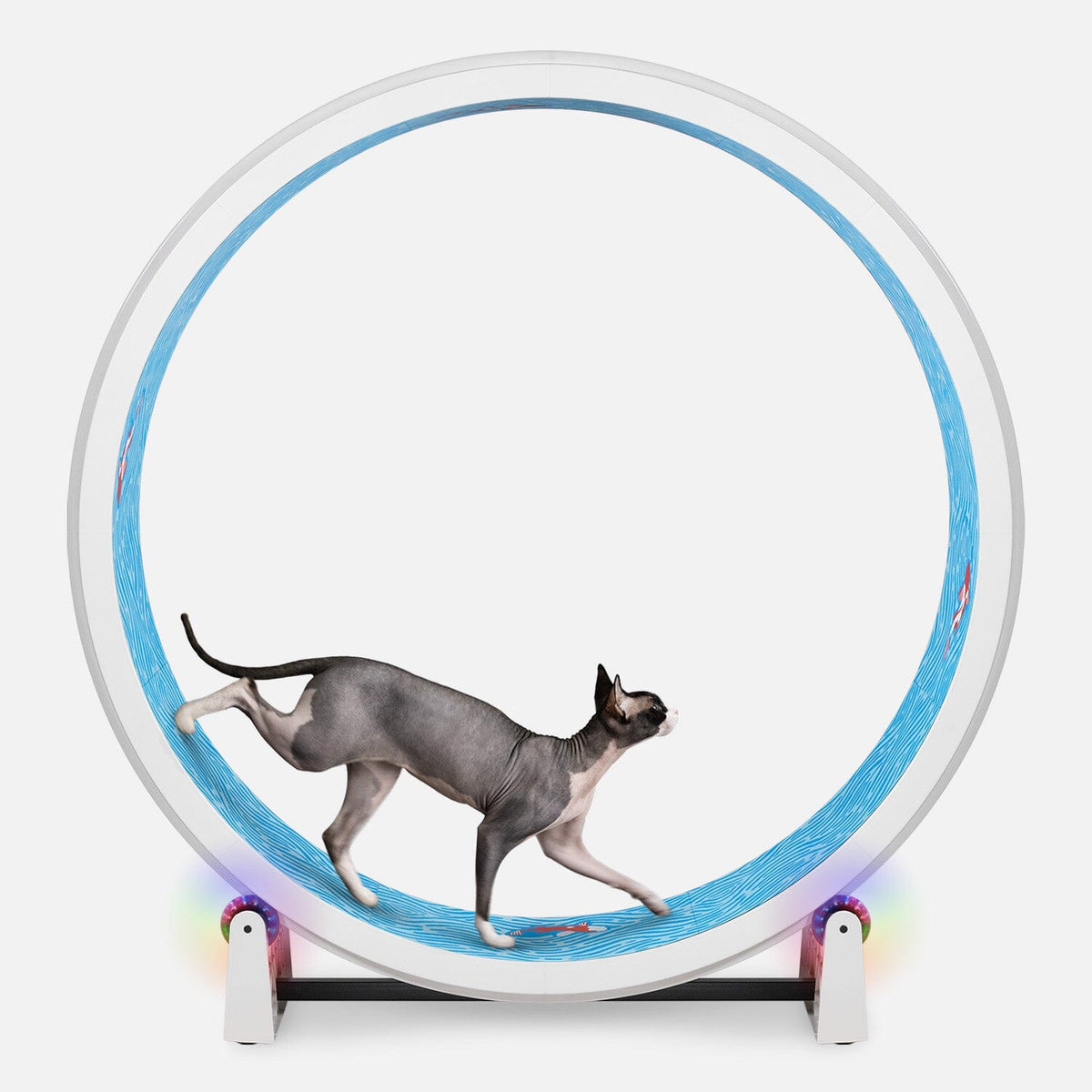 Large Cat Exercise Wheel - Durable Feline Workout Wheel for Active Cats, 48-Inch Smooth Running Cat Wheel 12