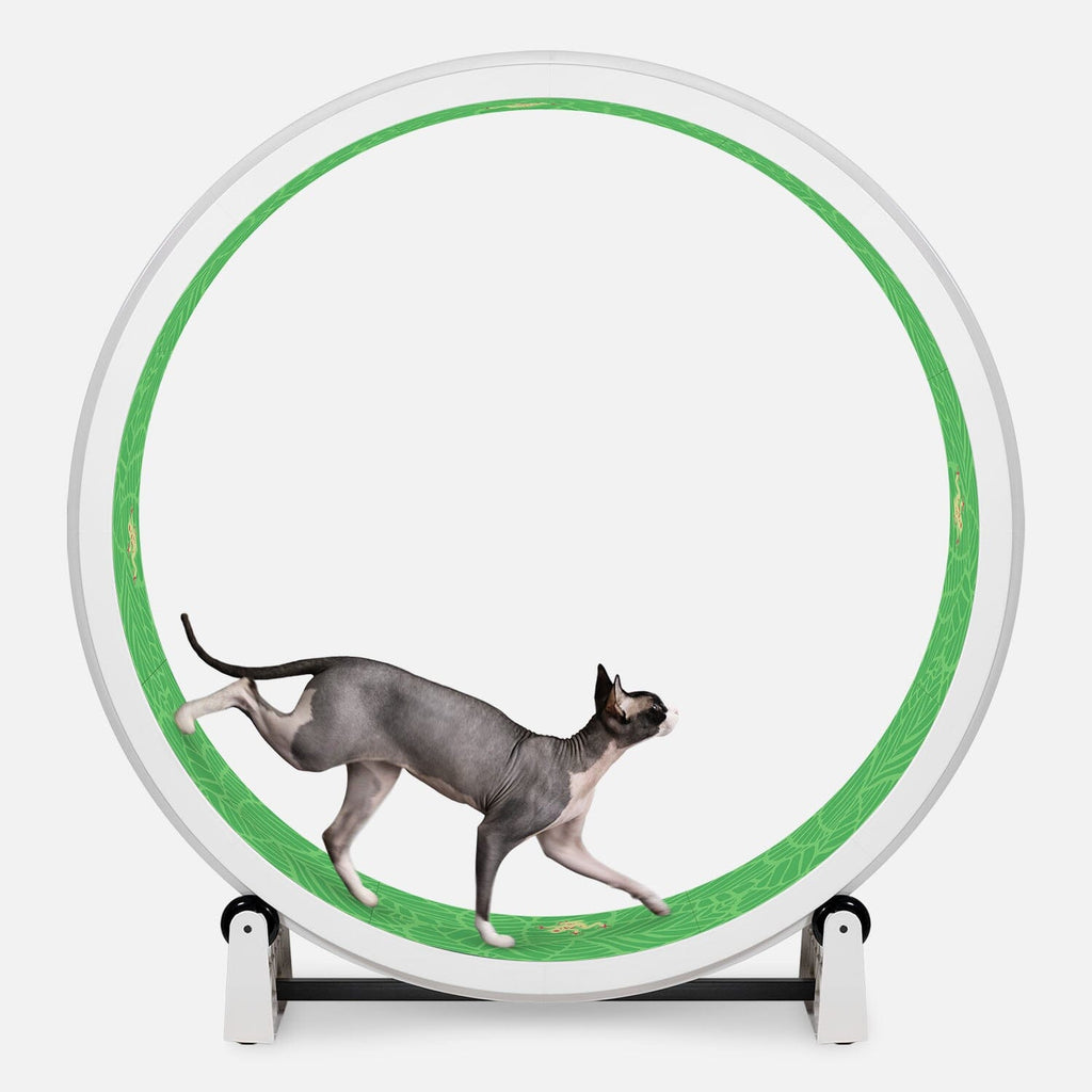 Large Cat Exercise Wheel - Durable Feline Workout Wheel for Active Cats, 48-Inch Smooth Running Cat Wheel 15