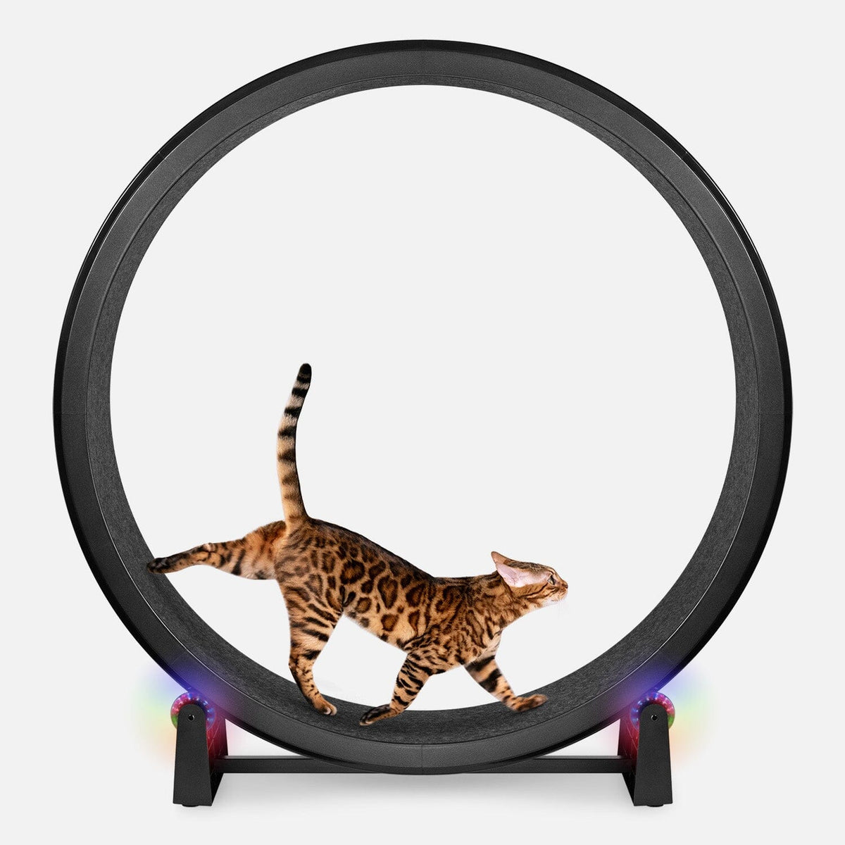 Large Cat Exercise Wheel - Durable Feline Workout Wheel for Active Cats, 48-Inch Smooth Running Cat Wheel 3