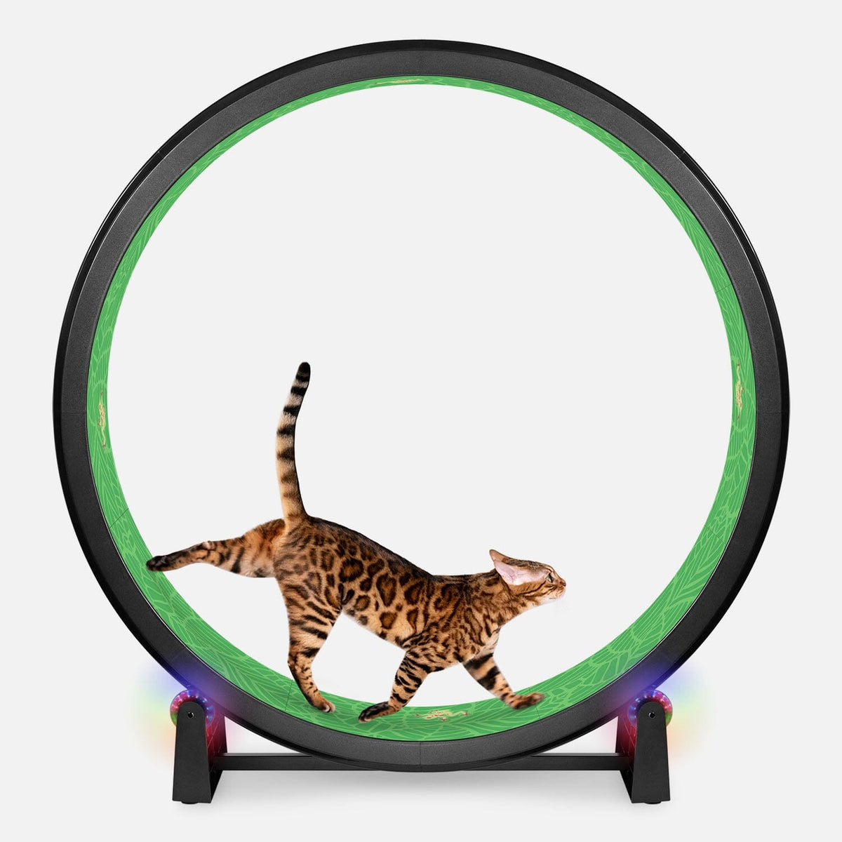 Large Cat Exercise Wheel - Durable Feline Workout Wheel for Active Cats, 48-Inch Smooth Running Cat Wheel 7