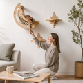 Modern Wooden Moon & Star Wall-Mounted Cat Climbing Shelves & Bed Set