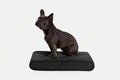 Orthopedic Dog Bed | Rectangle Shape, Heavy-Duty Ripstop Cover 0