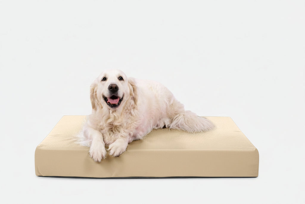 Orthopedic Dog Bed | Rectangle Shape, Heavy-Duty Ripstop Cover 1