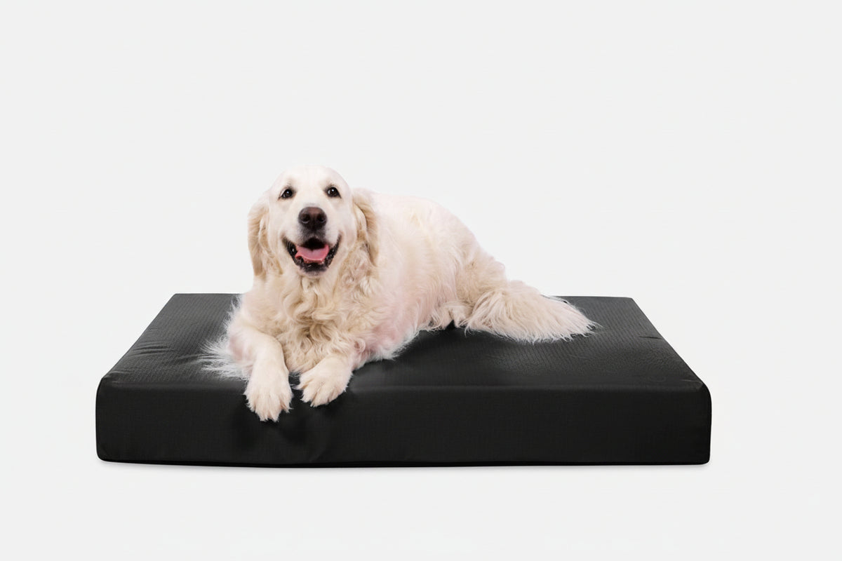 Orthopedic Dog Bed | Rectangle Shape, Heavy-Duty Ripstop Cover 10