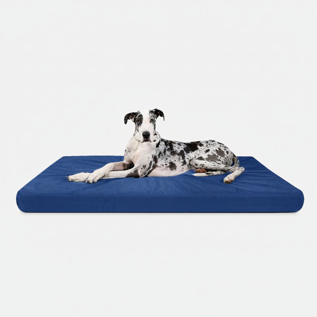 Orthopedic Dog Bed | Rectangle Shape, Heavy-Duty Ripstop Cover 11