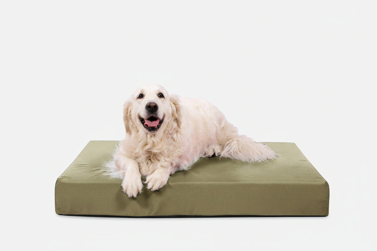 Orthopedic Dog Bed | Rectangle Shape, Heavy-Duty Ripstop Cover 12