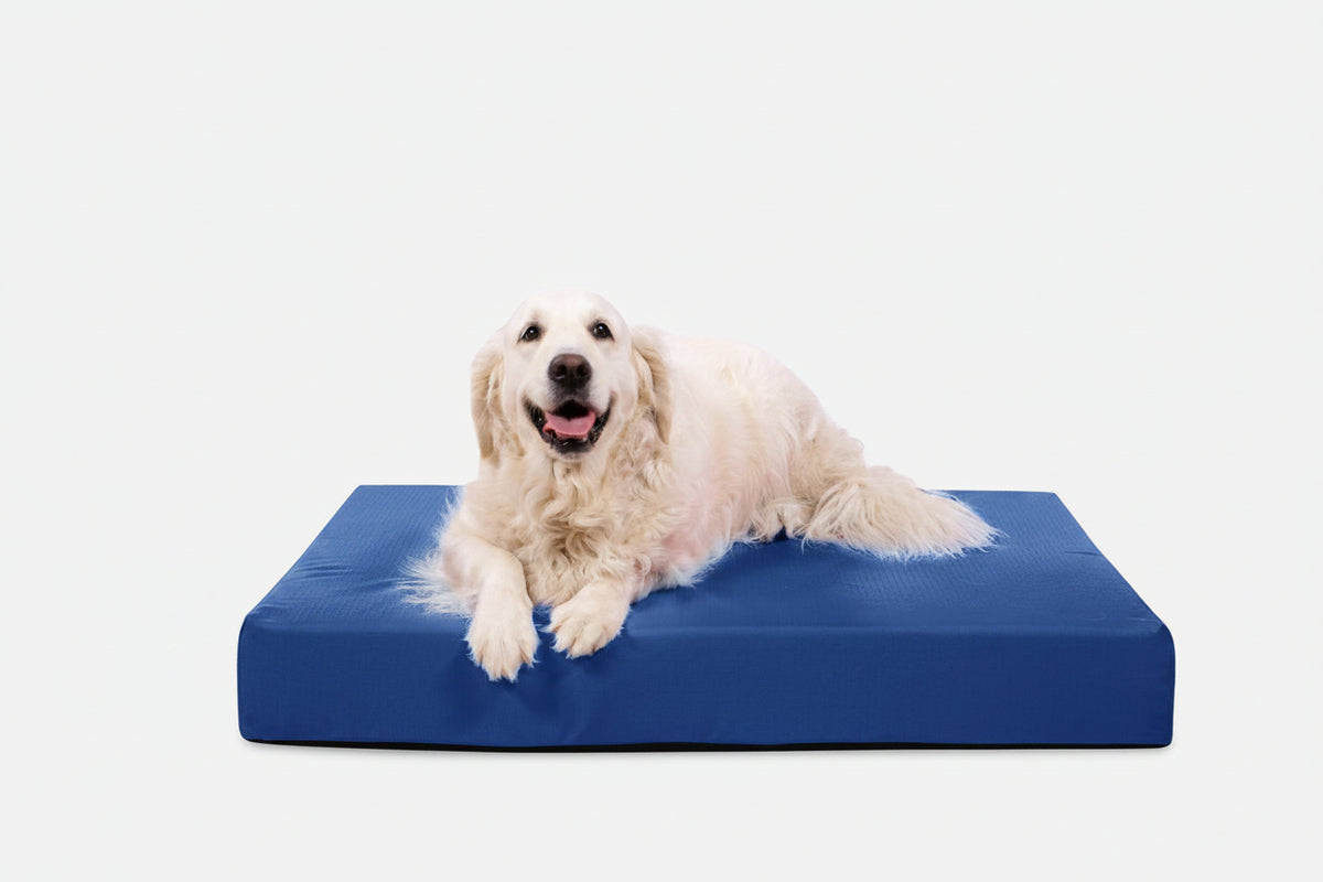 Orthopedic Dog Bed | Rectangle Shape, Heavy-Duty Ripstop Cover 13
