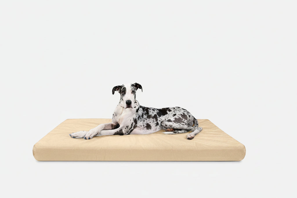 Orthopedic Dog Bed | Rectangle Shape, Heavy-Duty Ripstop Cover 15