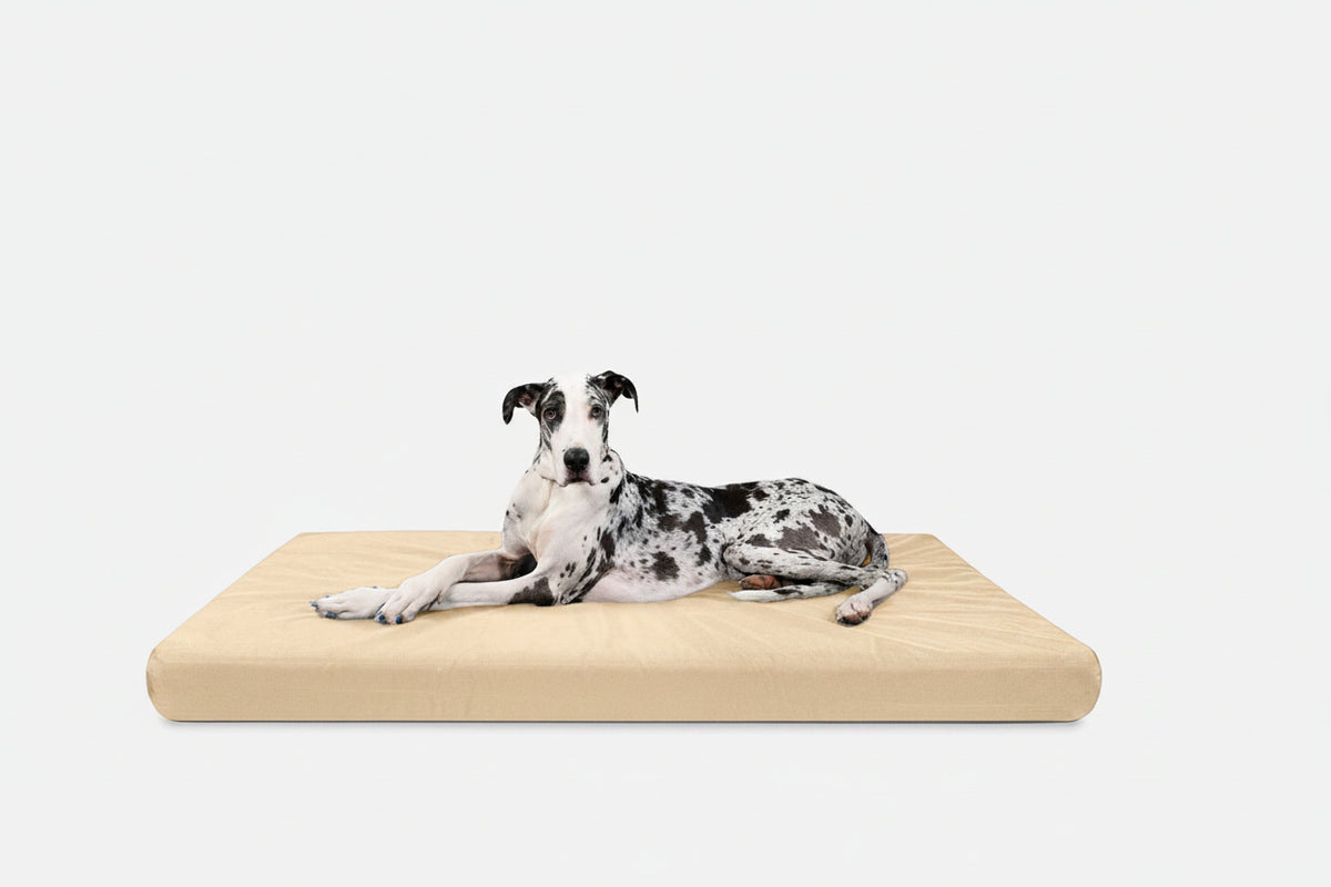 Orthopedic Dog Bed | Rectangle Shape, Heavy-Duty Ripstop Cover 15