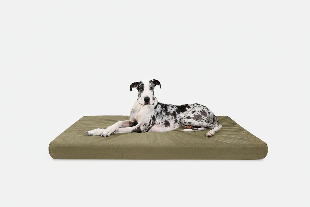 Orthopedic Dog Bed | Rectangle Shape, Heavy-Duty Ripstop Cover 16