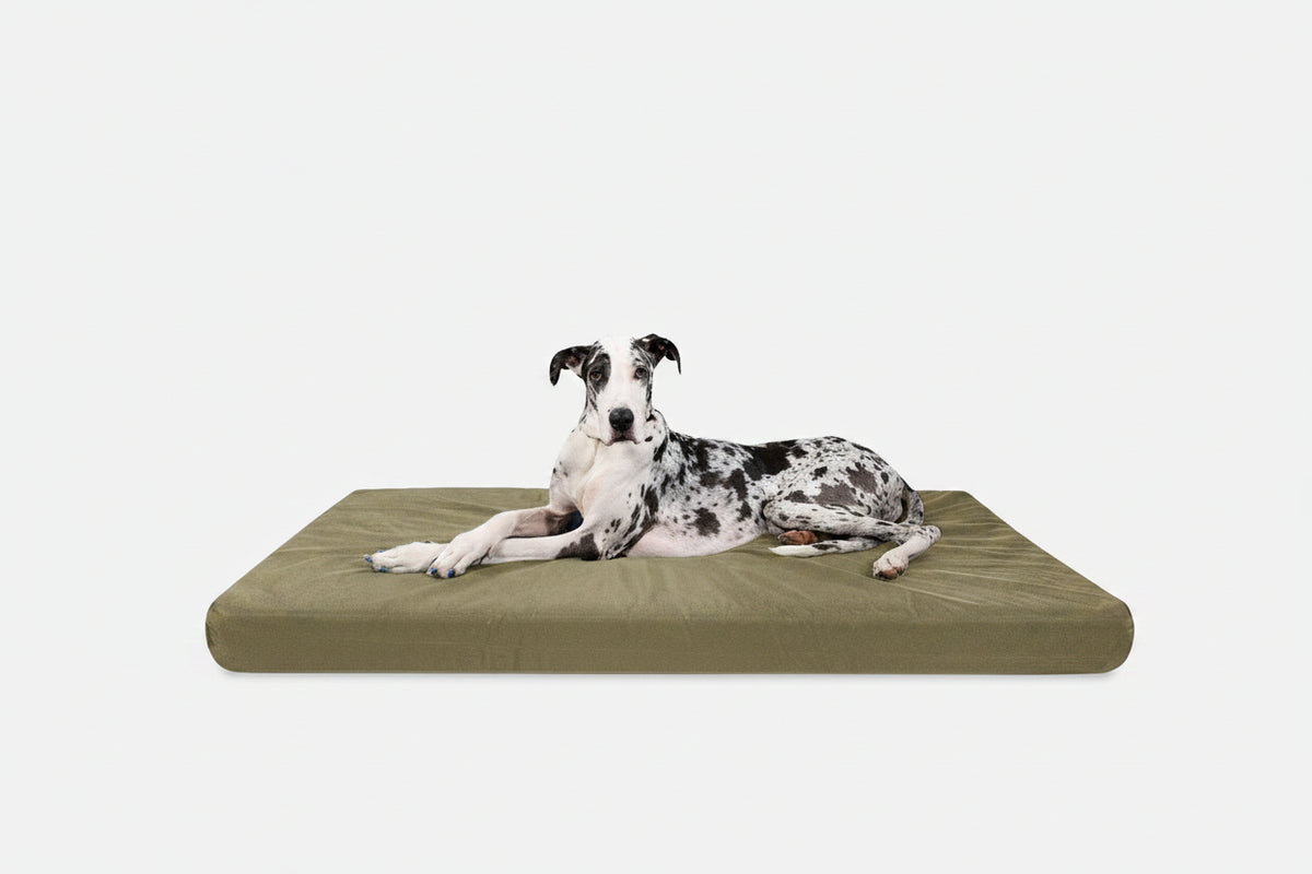 Orthopedic Dog Bed | Rectangle Shape, Heavy-Duty Ripstop Cover 16