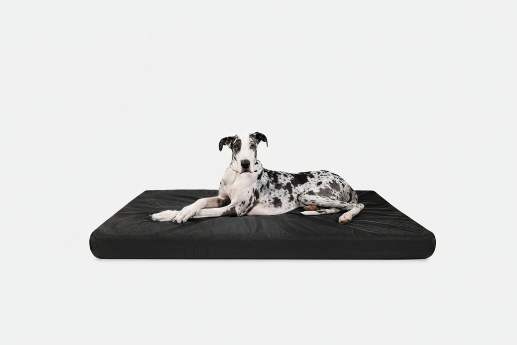 Orthopedic Dog Bed | Rectangle Shape, Heavy-Duty Ripstop Cover 17