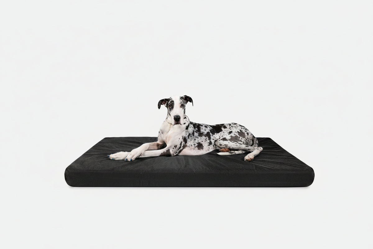 Orthopedic Dog Bed | Rectangle Shape, Heavy-Duty Ripstop Cover 17