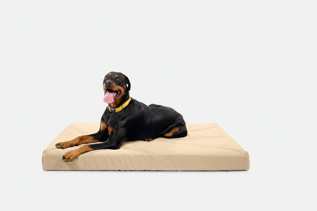Orthopedic Dog Bed | Rectangle Shape, Heavy-Duty Ripstop Cover 18