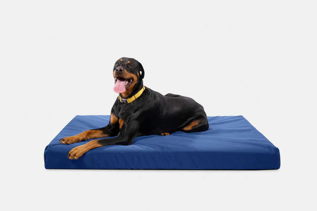 Orthopedic Dog Bed | Rectangle Shape, Heavy-Duty Ripstop Cover 19