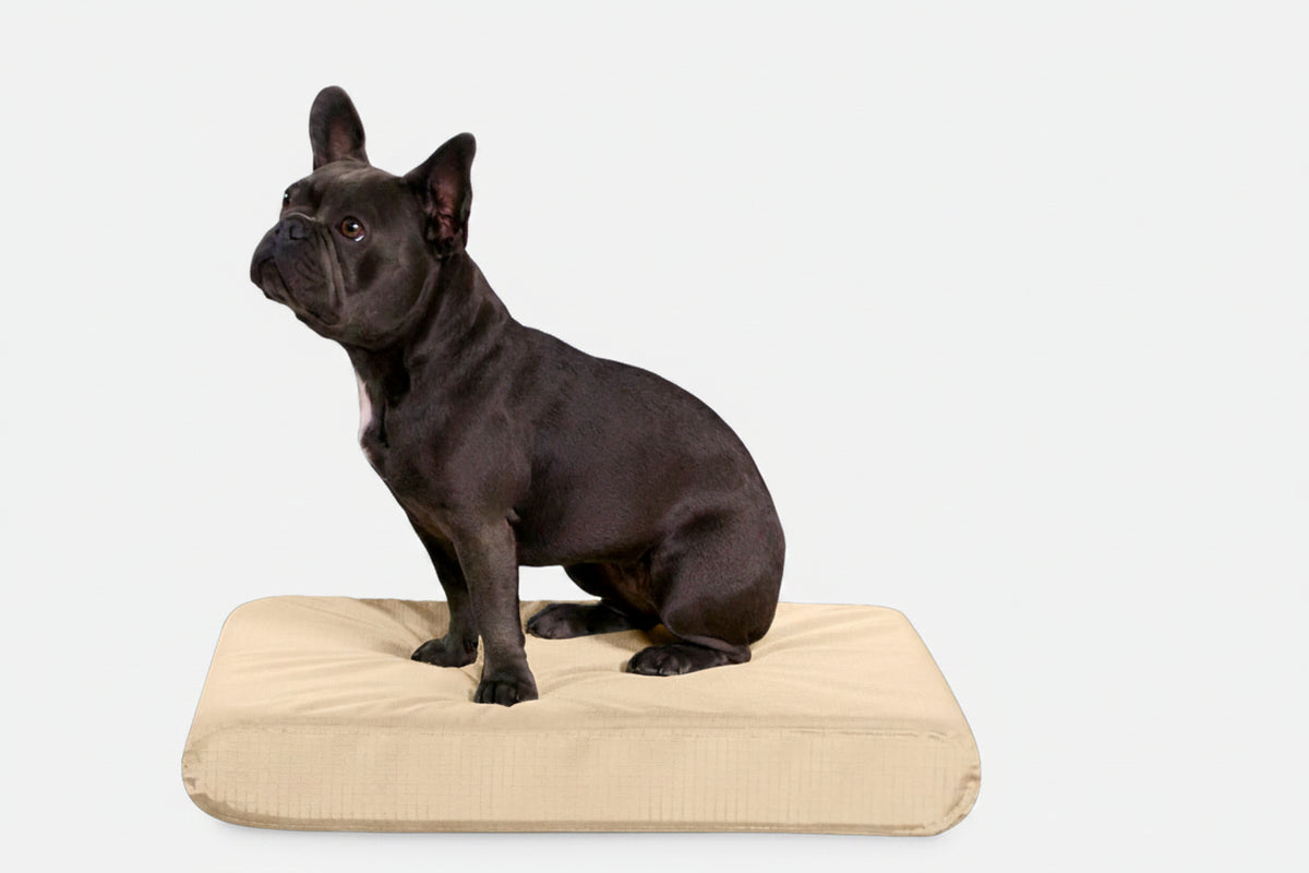 Orthopedic Dog Bed | Rectangle Shape, Heavy-Duty Ripstop Cover 2