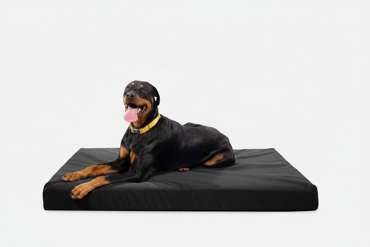 Orthopedic Dog Bed | Rectangle Shape, Heavy-Duty Ripstop Cover 20