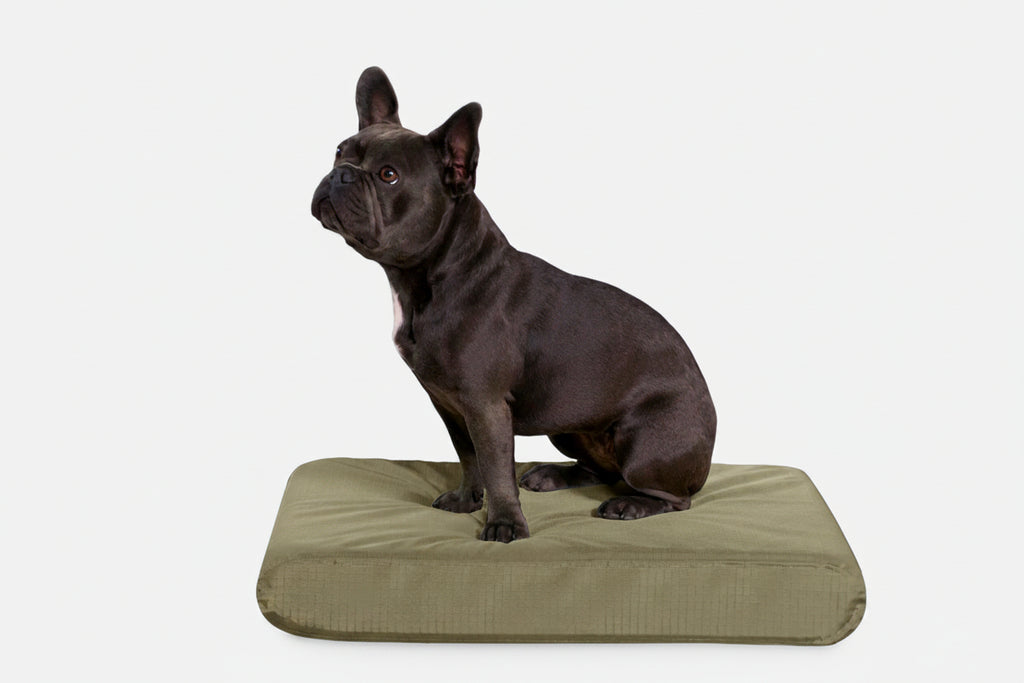 Orthopedic Dog Bed | Rectangle Shape, Heavy-Duty Ripstop Cover 3