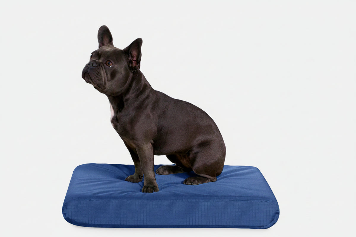 Orthopedic Dog Bed | Rectangle Shape, Heavy-Duty Ripstop Cover 4