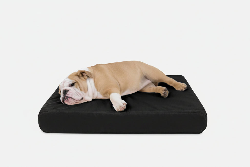 Orthopedic Dog Bed | Rectangle Shape, Heavy-Duty Ripstop Cover 5