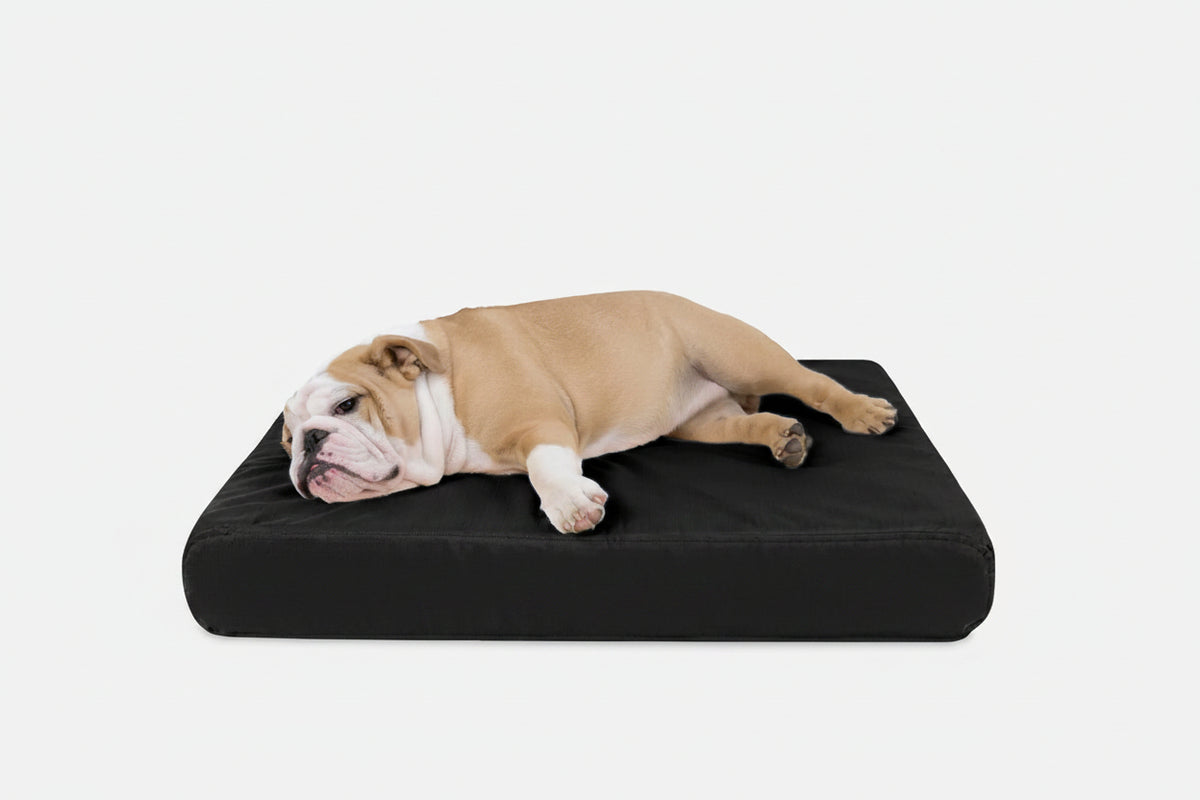 Orthopedic Dog Bed | Rectangle Shape, Heavy-Duty Ripstop Cover 5