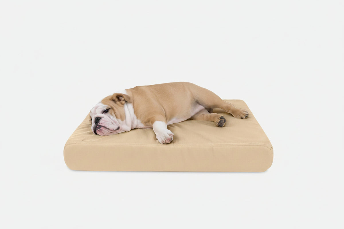 Orthopedic Dog Bed | Rectangle Shape, Heavy-Duty Ripstop Cover 6