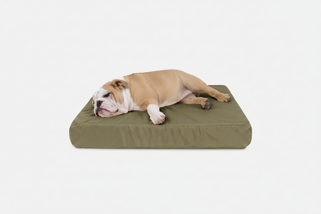 Orthopedic Dog Bed | Rectangle Shape, Heavy-Duty Ripstop Cover 7
