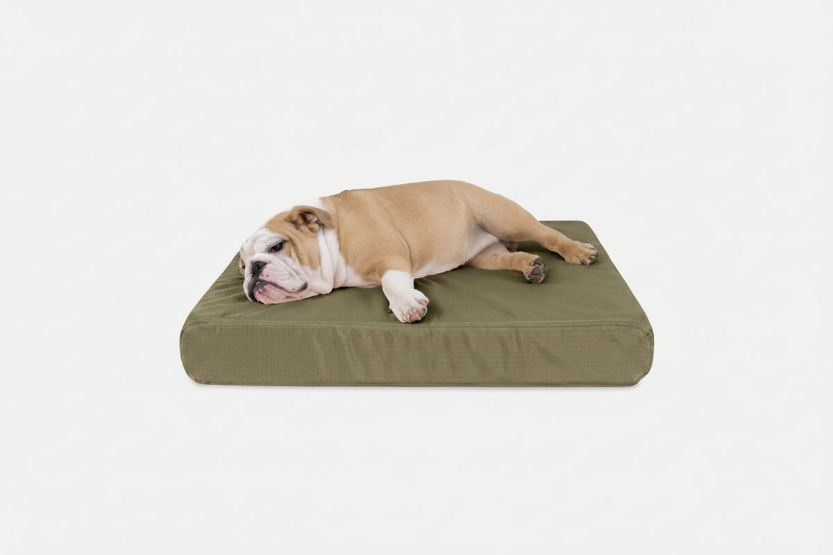Orthopedic Dog Bed | Rectangle Shape, Heavy-Duty Ripstop Cover 7
