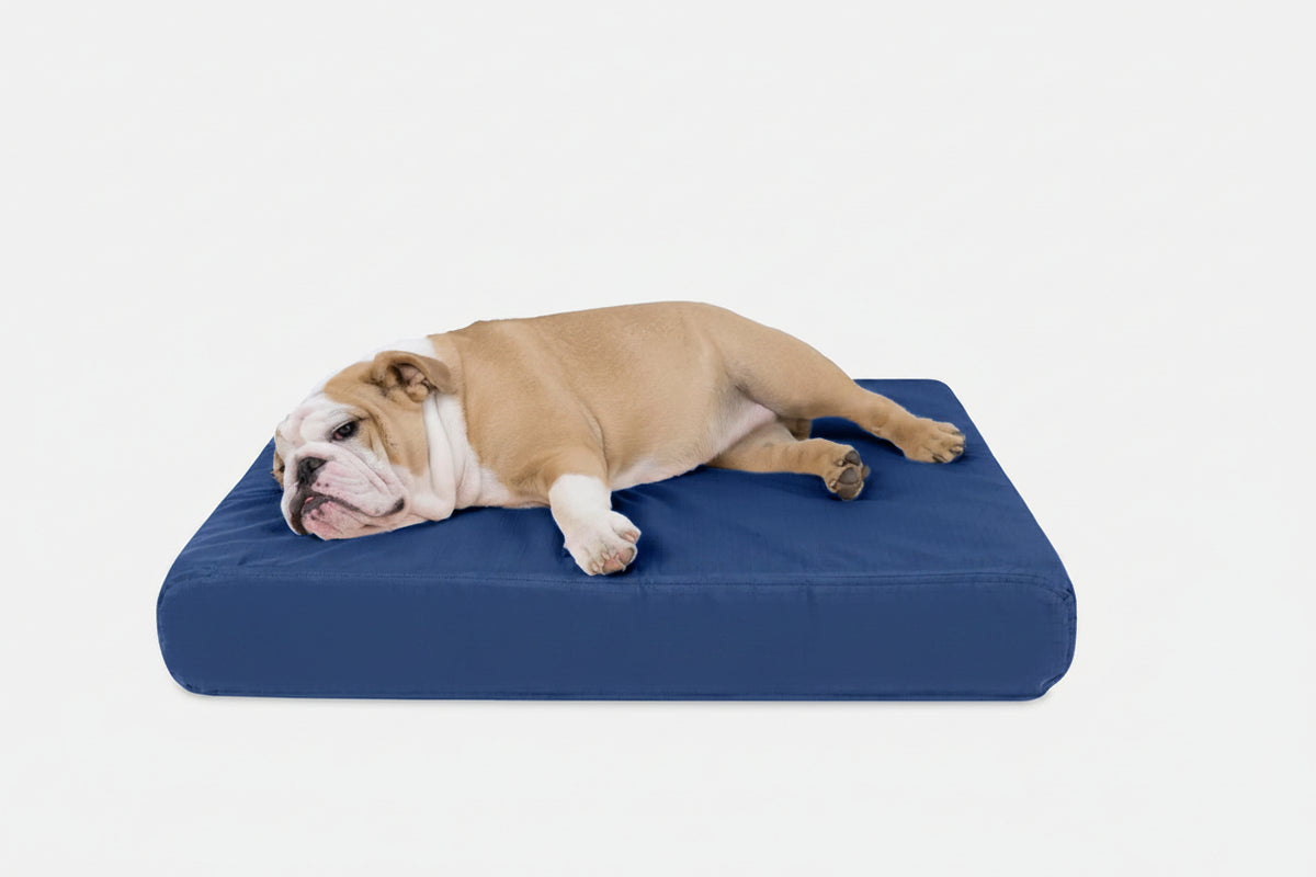 Orthopedic Dog Bed | Rectangle Shape, Heavy-Duty Ripstop Cover 8