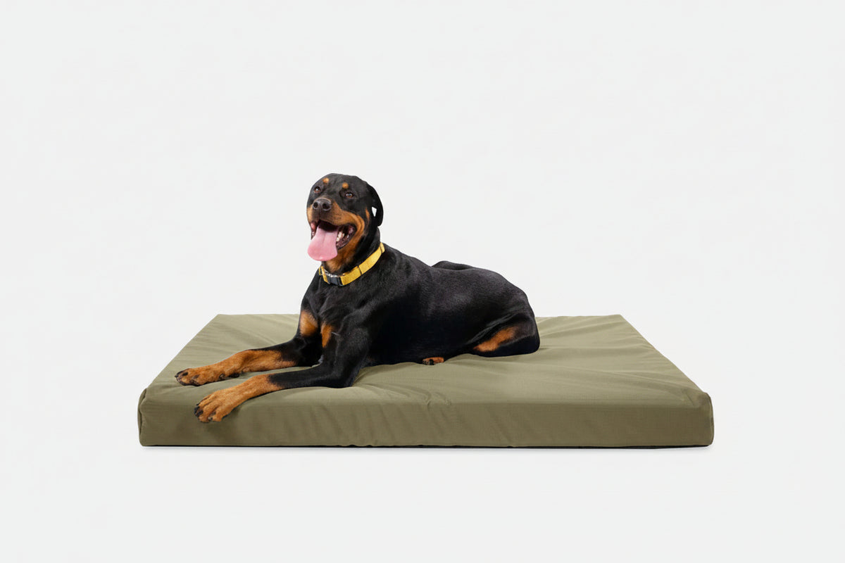 Orthopedic Dog Bed | Rectangle Shape, Heavy-Duty Ripstop Cover 9