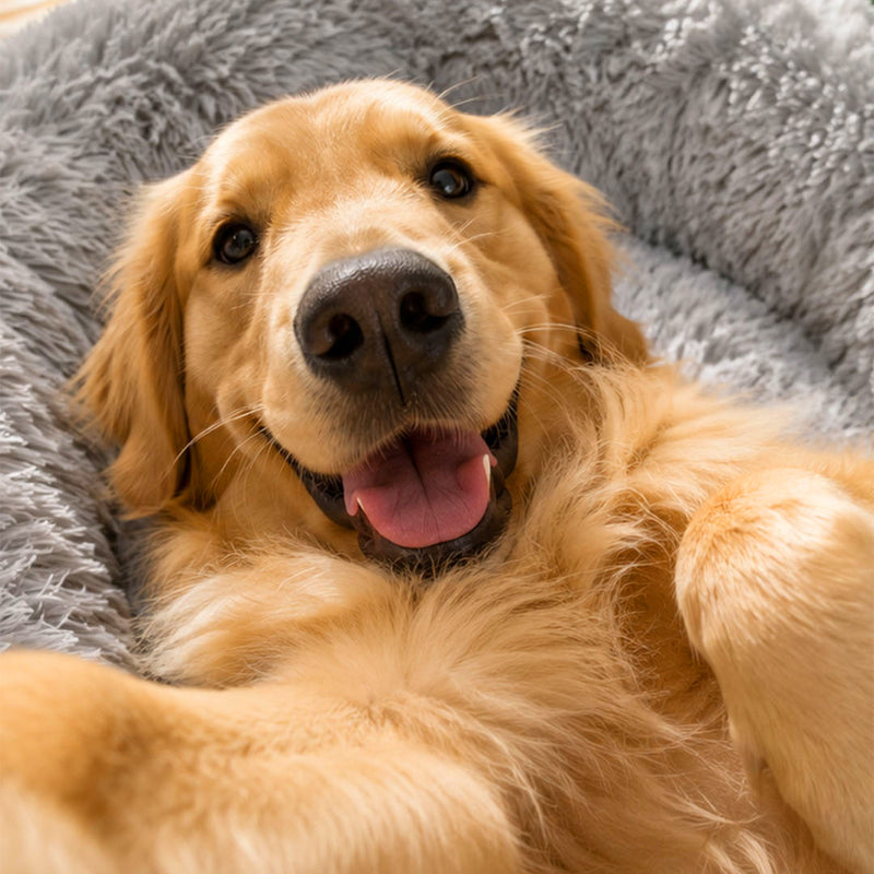 Pet Bed | Deep Sleep Design, Plush Cushion 1