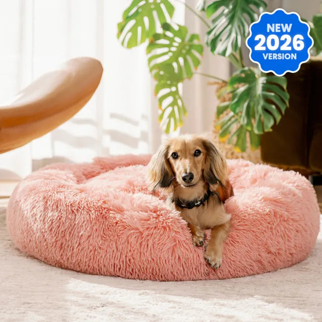 Pet Bed | Deep Sleep Design, Plush Cushion 11