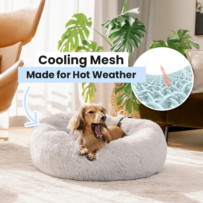 Pet Bed | Deep Sleep Design, Plush Cushion 2