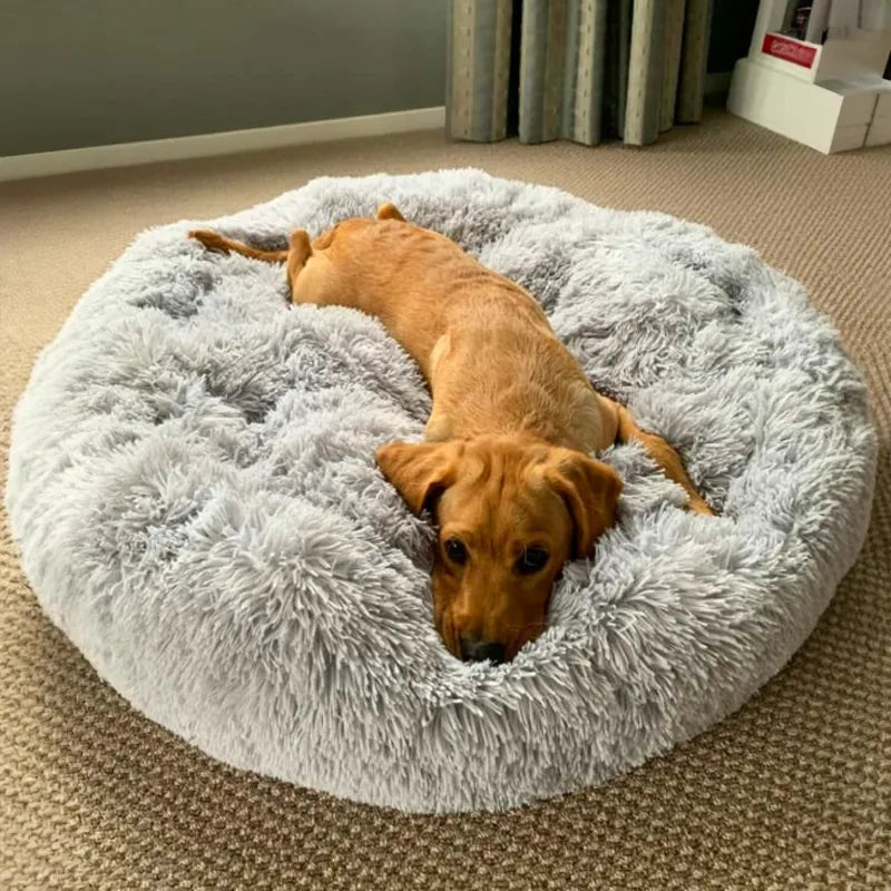 Pet Bed | Deep Sleep Design, Plush Cushion 8