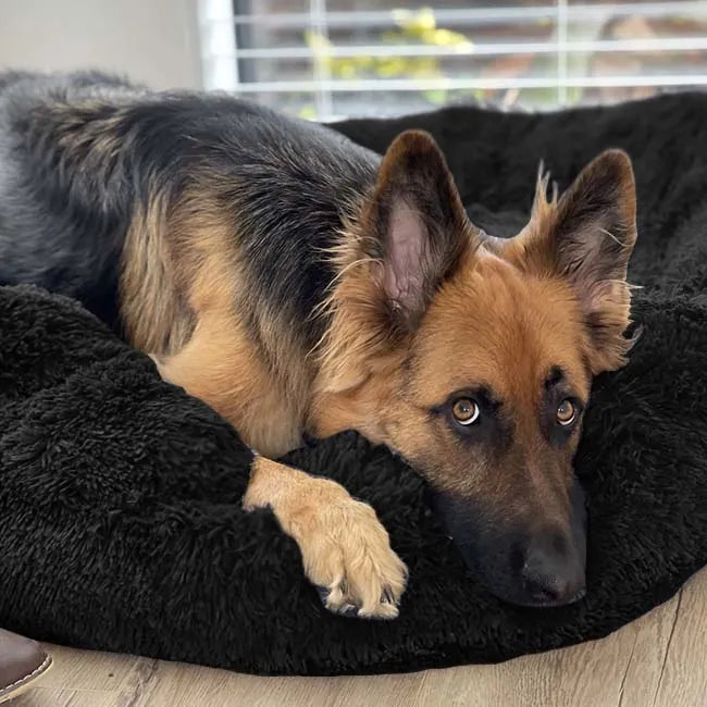 Pet Bed | Deep Sleep Design, Plush Cushion 9