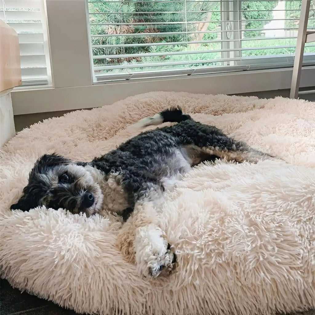 Pet Bed | Round Shape, Plush Material for Dogs 0
