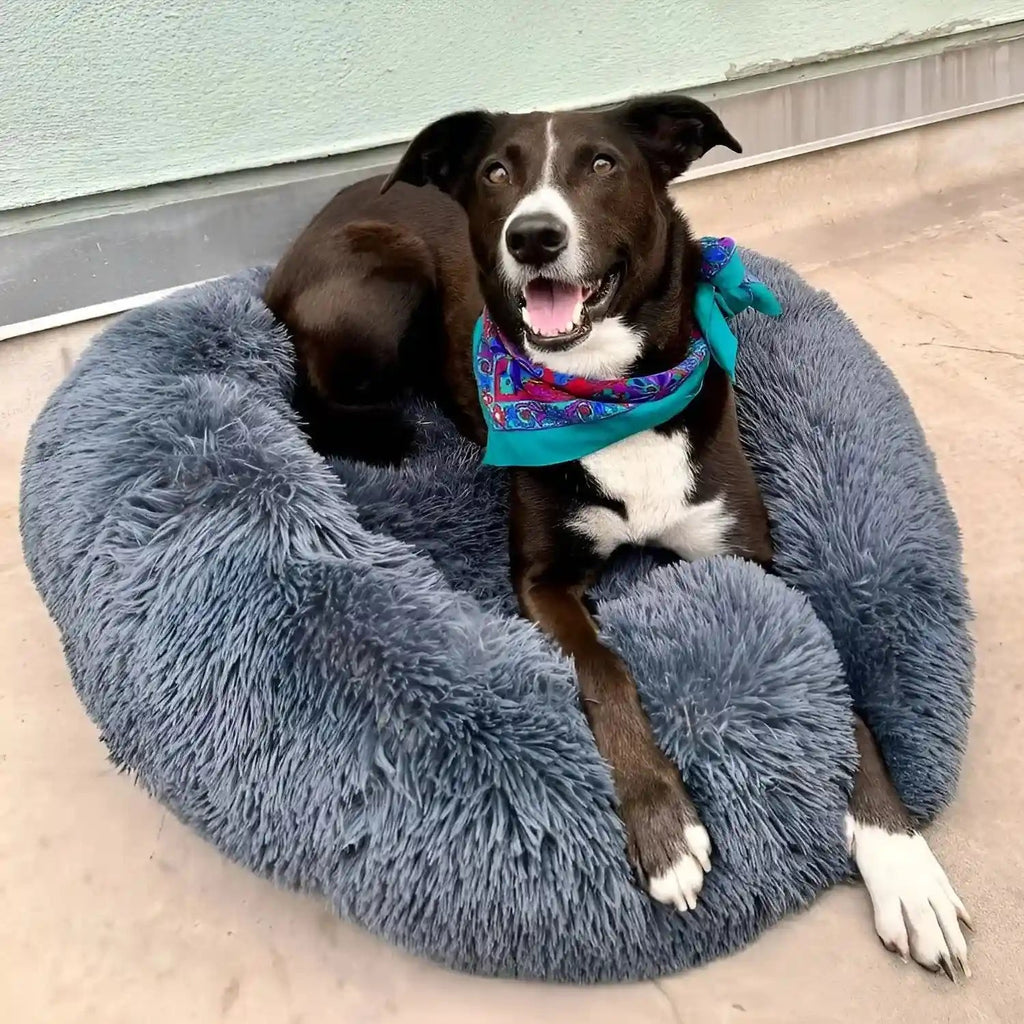 Pet Bed | Round Shape, Plush Material for Dogs 1