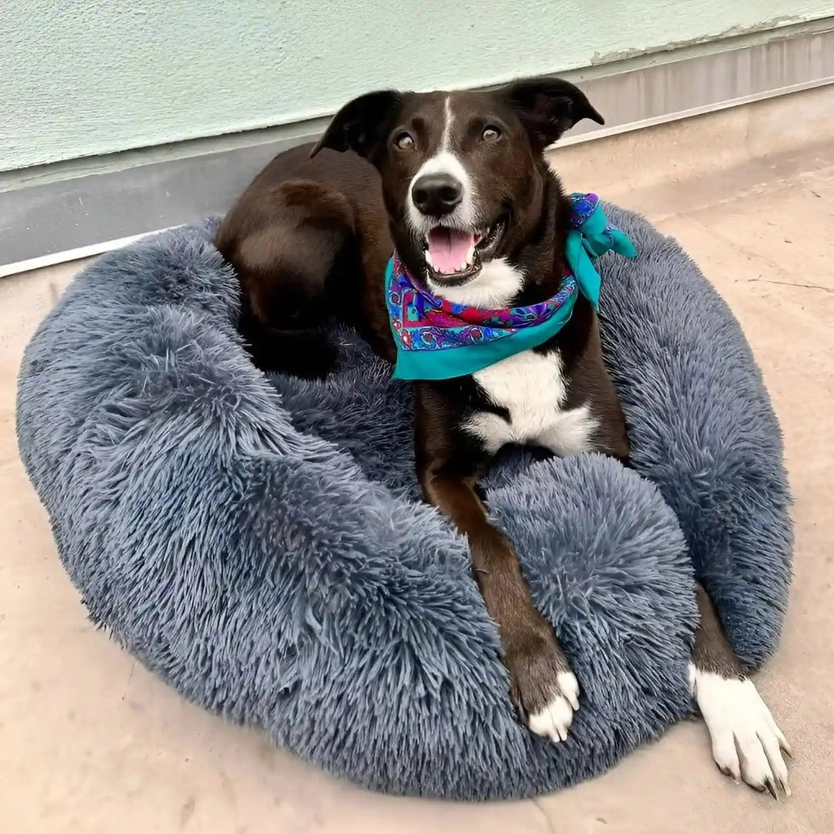 Pet Bed | Round Shape, Plush Material for Dogs 1