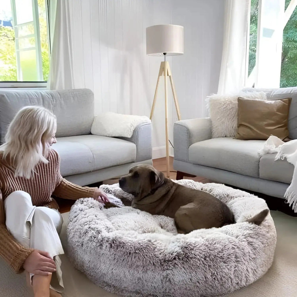 Pet Bed | Round Shape, Plush Material for Dogs 2