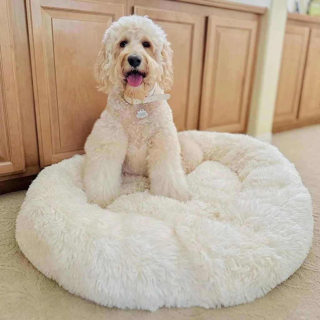 Pet Bed | Round Shape, Plush Material for Dogs 3