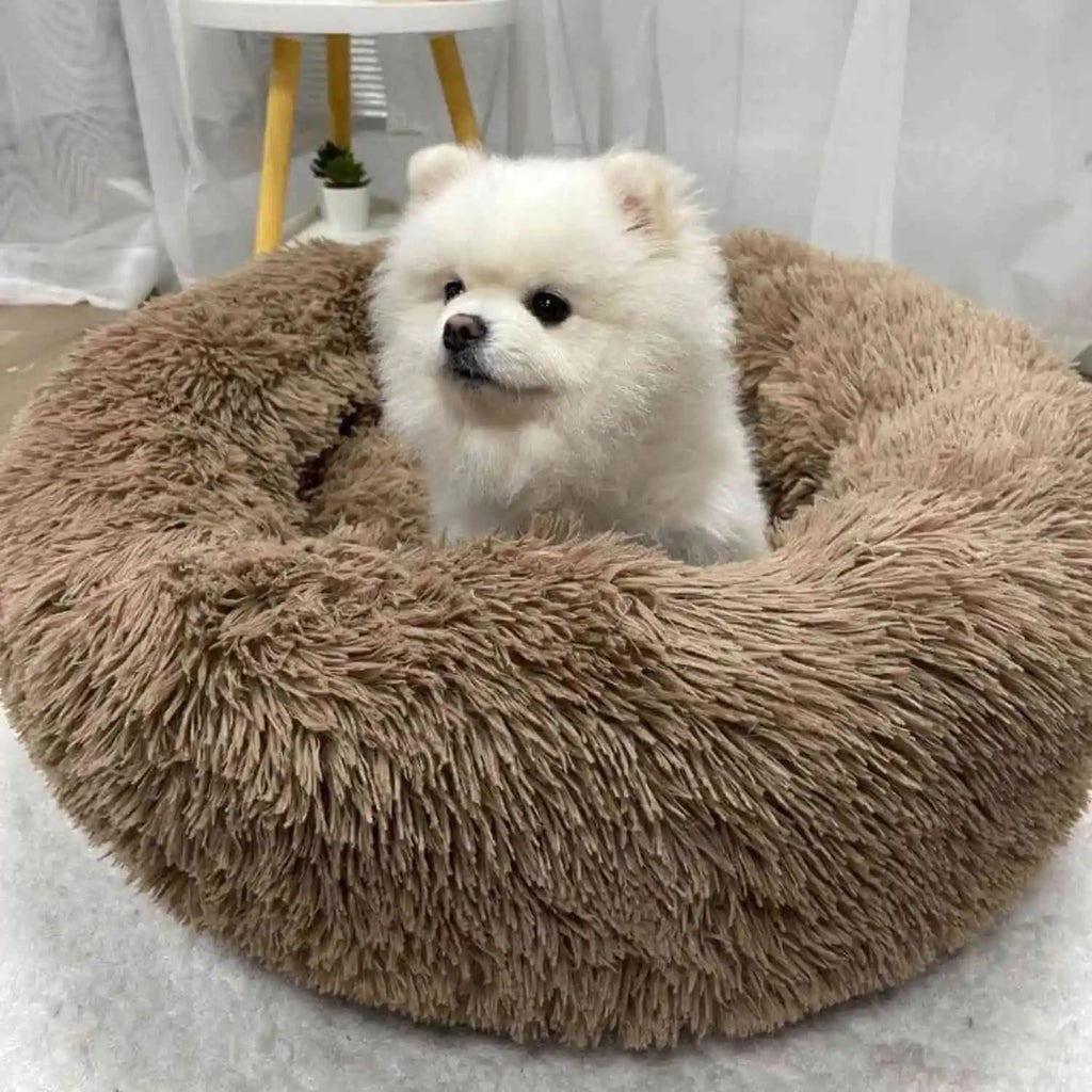 Pet Bed | Round Shape, Plush Material for Dogs 4
