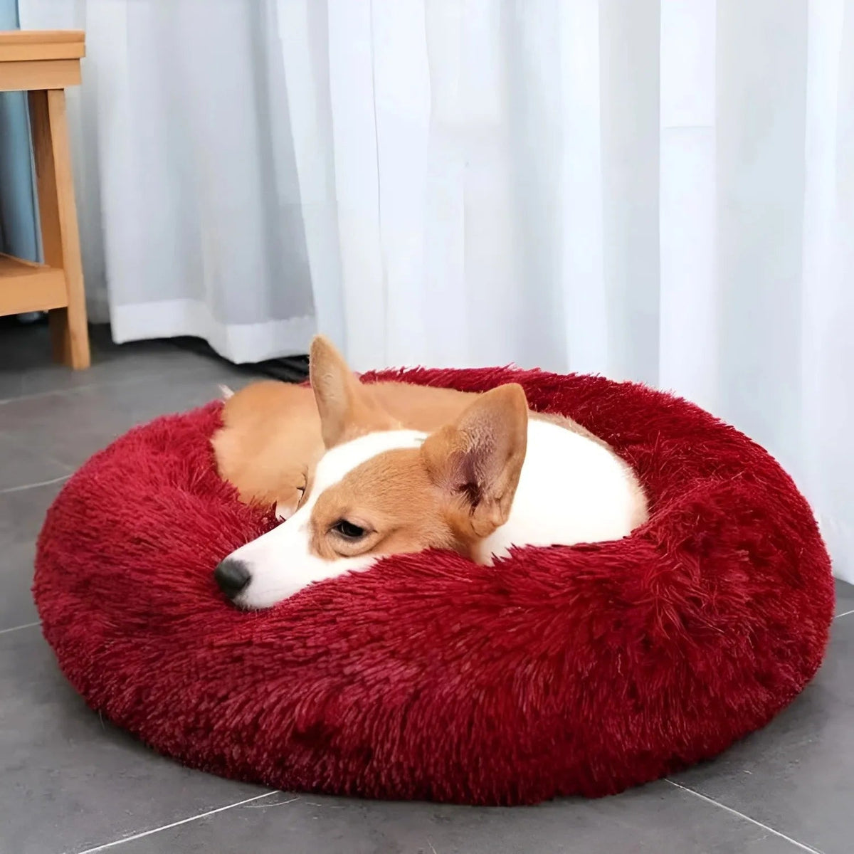 Pet Bed | Round Shape, Plush Material for Dogs 5