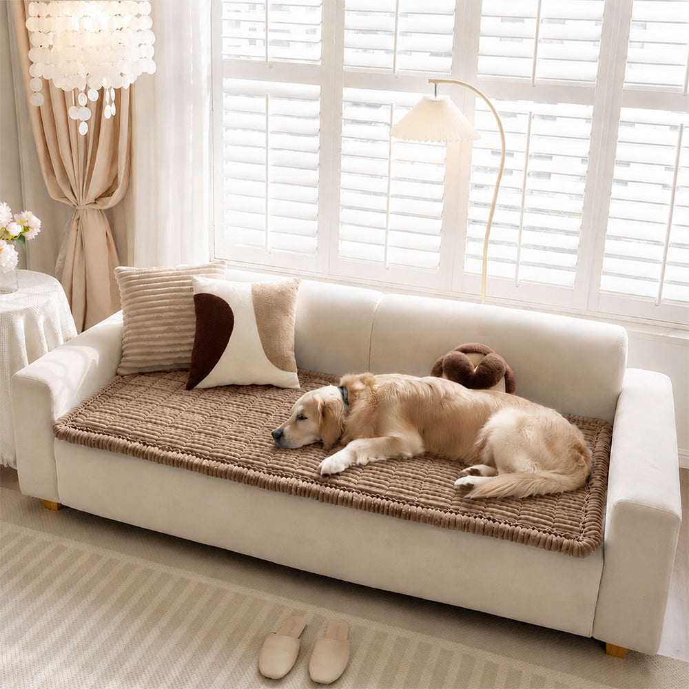Pet Mat | Waterproof, Non-Slip, Soft Flannel Cover 5