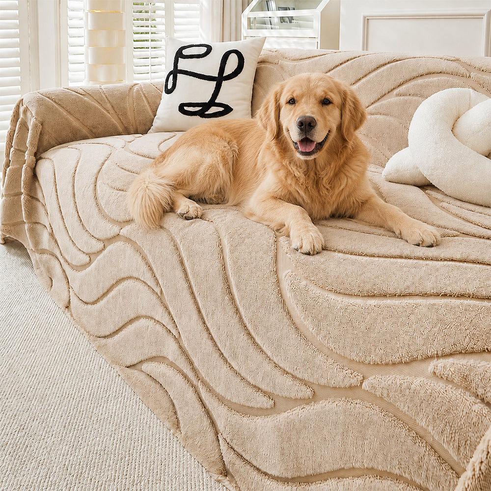 Sofa Cover | Soft Plush Texture, Machine Washable 1